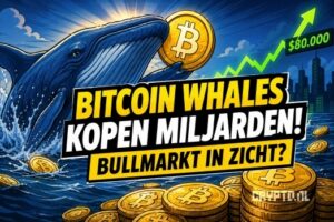 Bitcoin whales kopen miljarden aan BTC: start van nieuwe bullmarkt?