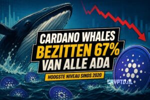 Cardano whales slaan massaal ADA in ondanks zwakke netwerkcijfers